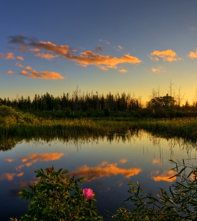 Water Use Licence Applications